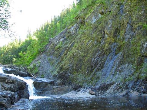 Naturtypekartlegging langs vassdrag i Midt-Norge Midt-Norge er kystgranskogens region.