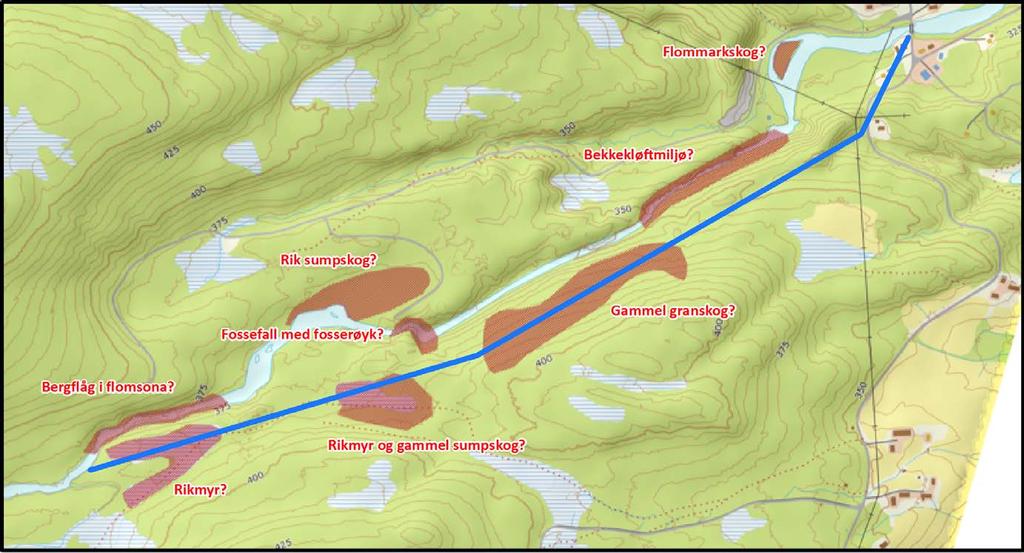 Tenkt vassdragseksempel fra Trøndelag Gran er ofte et sentralt substrat. Kan være kalkrike berghamre langs vassdragene.