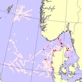 Plansje 6: Fiskemåke Larus canus Data Antall i studieområde 7 6 5 4 3 2 1 VINTER VÅR SOMMER