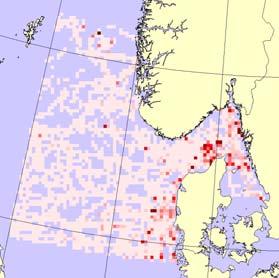 2 26 Sesongmessig fordeling