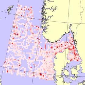 Plansje 9: Svartbak Larus marinus Data 3 Antall i studieområde 25 2 15 1 5 VINTER VÅR SOMMER