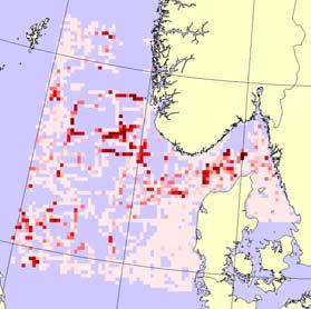 Plansje 13: Alkekonge Alle alle Data Antall i studieområde 3 5 3 2 5 2 1 5 1 5 VINTER VÅR