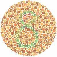 rødblindhet Oppfatter farger ved hjelp av to komponenter Ved rød-grønn fargeblindhet ser du tallet nederst til