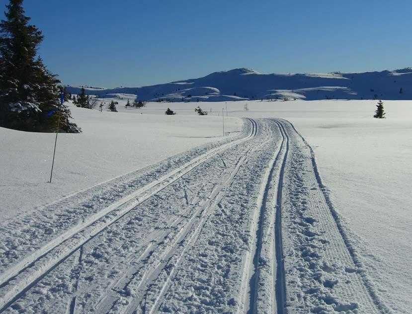 STANDARD Gulv: Skiferfliser på bad/wc og entre, spon i utv bod, ellers massivt behandlet heltre gulv. Vegger: panel Tak: Panel i himling. Kjøkken med hvitevarer. Ferdig utstyrt bad.