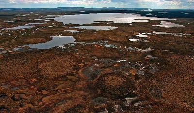 En smak av Sibir Blant mygg og vadefugler i Indre Finnmark Karl-Birger Strann Mange forbinder enorme, sammenhengende våtmarker med andre himmel-strøk enn Norge, og kanskje aller helst med Sibir i