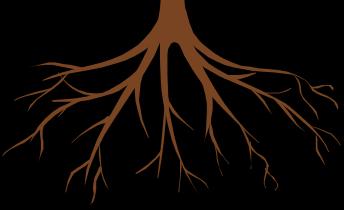 Mykorrhiza -