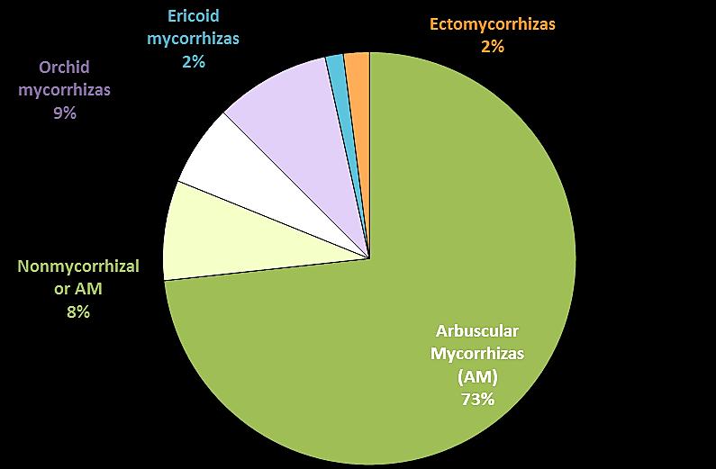 Nonmycorrhizal plants