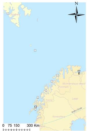 98 RAPPORT FRA OVERVÅKINGSGRUPPEN 2014 Kvikksølv i torskefilet 2009-2012 Kadmium i torskelever 2009-2012 Bly i torskelever 2009-2012