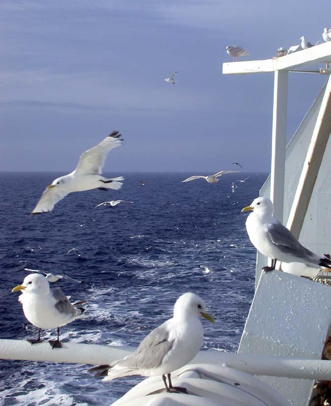 RAPPORT FRA OVERVÅKINGSGRUPPEN 2014 9 1.3 Fremmede arter, sårbare arter og naturtyper Overvåkingen ved anleggene på Melkøya har ved undersøkelsene i 2006, 2008 og 2010 ikke funnet nye fremmede arter.