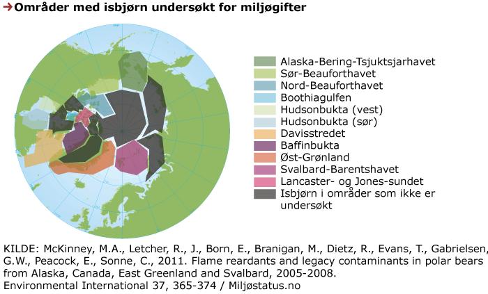 Det er rimelig å anta at miljøgifter vil ha effekter på isbjørnens helse også i årene som kommer. Heli Routti Norsk Polarisntitutt, heli.routti@npolar.