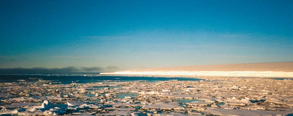 Temperatur, saltholdighet og næringssalter Sjøtemperaturen i Barentshavet har hatt en generell oppadgående trend siden 1977.