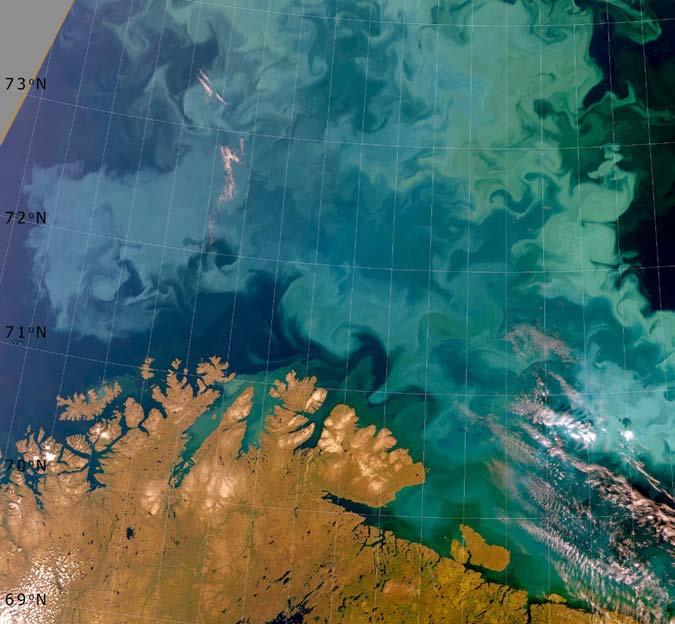 40 RAPPORT FRA OVERVÅKINGSGRUPPEN 2014 Våroppblomstring av planteplankton i Barentshavet Oppblomstring av planteplankton (alger) danner næringsgrunnlaget for produksjon av larver og yngel i havet, og