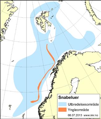 no Fakta om snabeluer Snabeluer (Sebastes mentella) lever i Norskehavet, Barentshavet, rundt Svalbard og langs kontinentalskråningen på 400 600 meters dyp fra Norskehavet og sørover til britiske