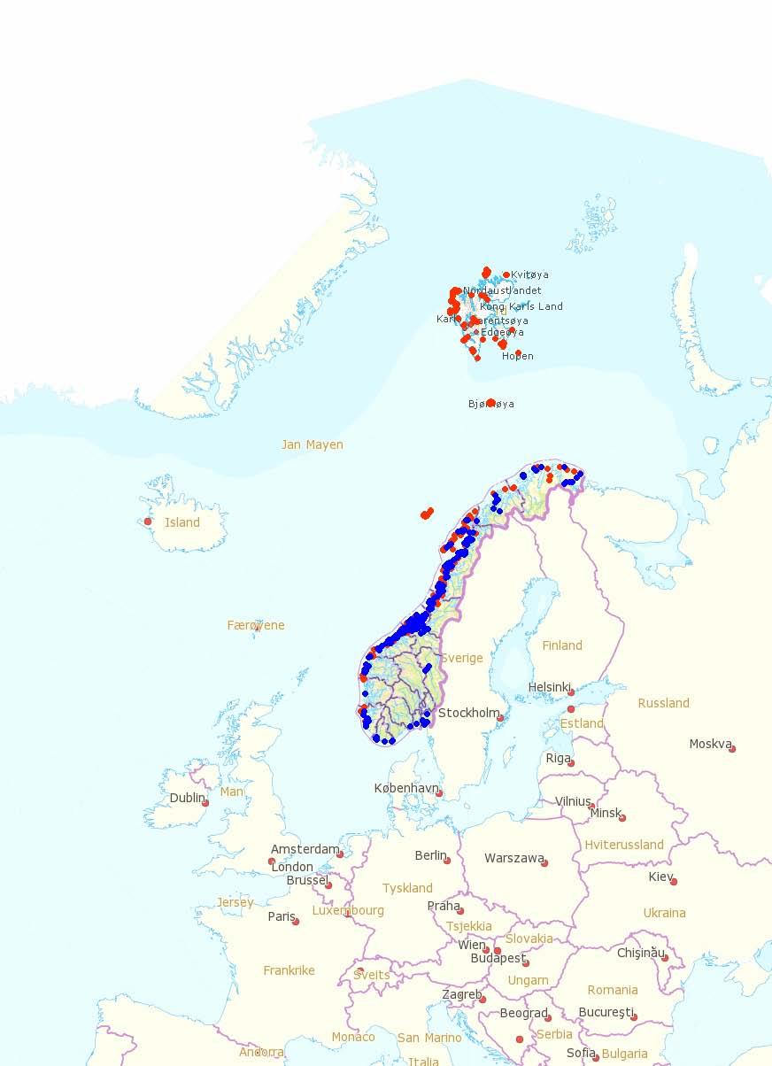 Mange av de siste årene har det vært total hekkesvikt her. Svein-Håkon Lorentsen Norsk institutt for naturforskning, NINA, shl@nina.