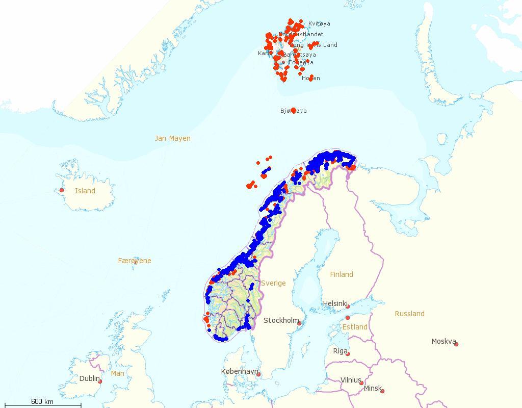 På Bjørnøya og Svalbard er det observert en nedgang i tre av de fire krykkjekoloniene som overvåkes. Svein-Håkon Lorentsen Norsk institutt for naturforskning, NINA, shl@nina.