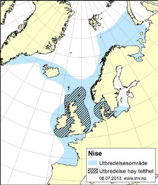 no Anne Kirstine Frie Havforskningsinstituttet, anne.kirstine@imr.no Fakta om nise Nise (Phocoena phocoena) tilhører de mindre tannhvalartene, og er svært vanlig langs norskekysten og i fjordene.