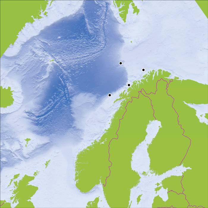 RAPPORT FRA OVERVÅKINGSGRUPPEN 2014 89 Eksempler fra fire av målestasjonene er vist i kartet under. Kartet viser en oppgang i PAHnivåene i de dypeste sedimentlagene enkelte steder.