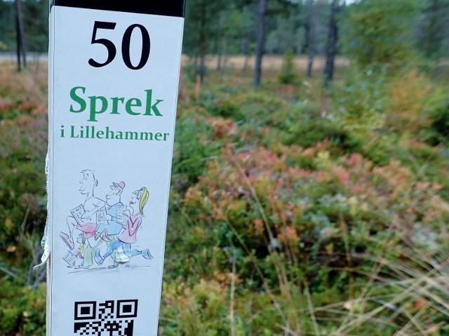 Stolpene kan registreres både manuelt, digitalt og ved å laste ned en applikasjon på mobilen, slik at man kan scanne QR-koden som hver stolpe er utstyrt med.