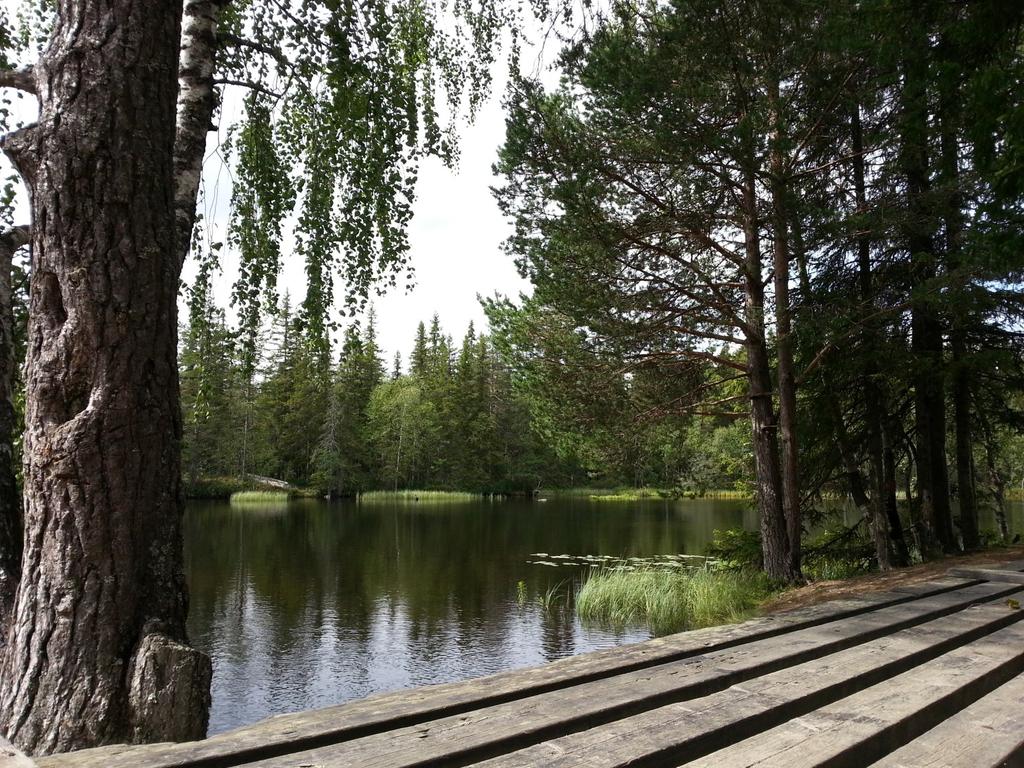 Andre turtilbud du kan delta på: DNT Lillehammer har sitt virkeområde i Lillehammer, Gausdal, Øyer samt den nordre delen av Ringsaker kommune.