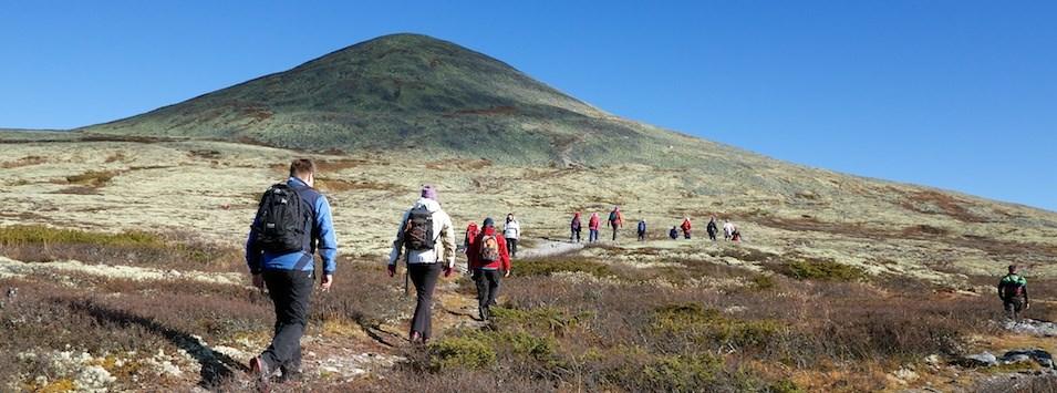 Turprogram for Ringebufjellet 24/8.17 Overnatting på Venabu Fjellhytter. Pris for hytte med plass for 10. personer: Kr. 3.100,-. Torsdag 24. august: Avreise fra Lillehammer kl. 10.00, ankomst Venabu Fjellhytter ca.