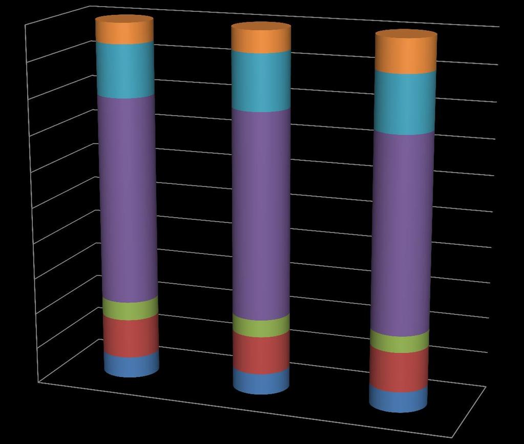 Alderssammensetning 100,0 90,0 80,0 5,8 14,6 6,0 15,5 9,1 15,6 70,0 60,0 Over 80 år 50,0 40,0 30,0 57,6 57,2 54,0 67-79