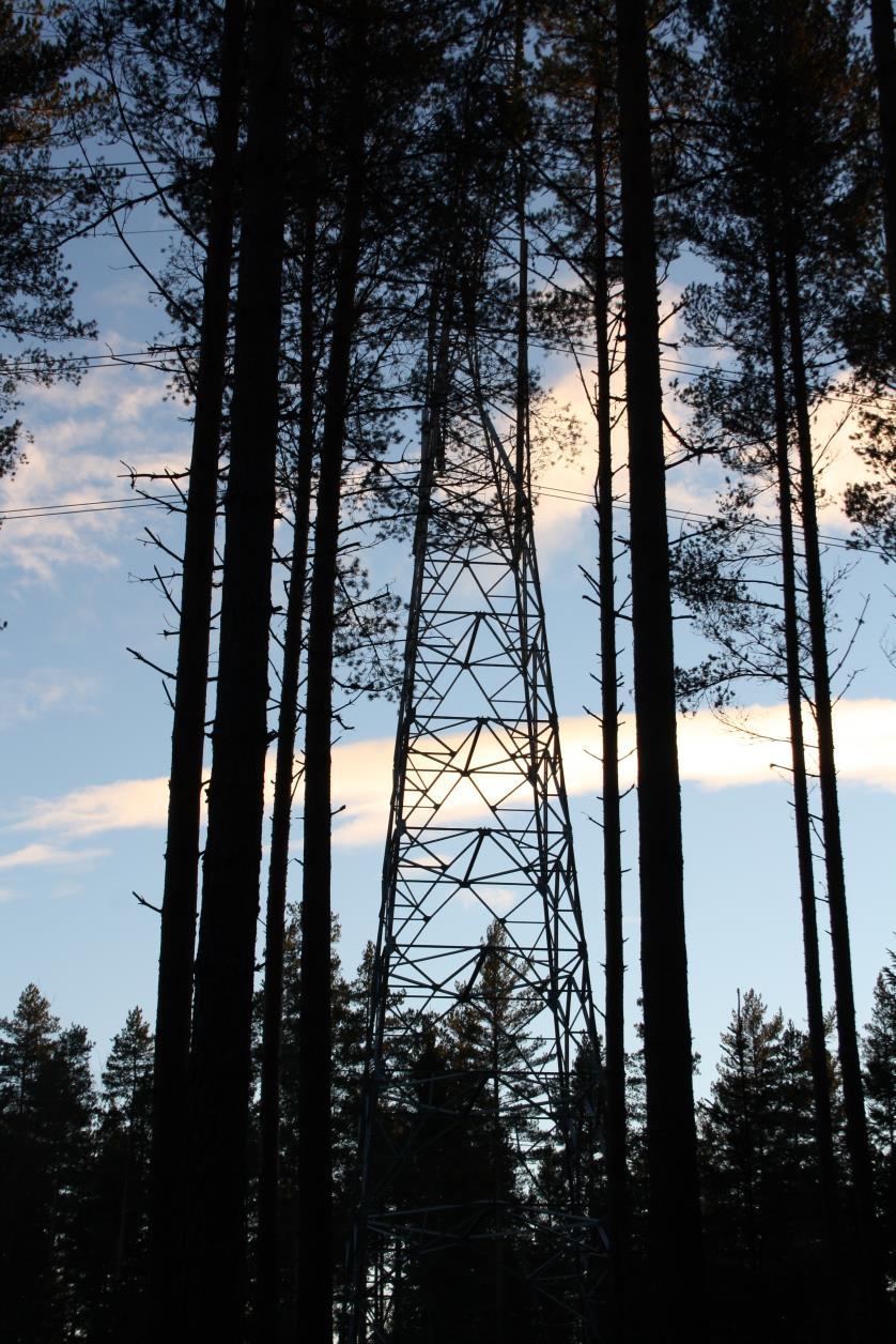 Biologisk mangfold på Bergermoen del 2 Jevnaker kommune Registrering i forbindelse med