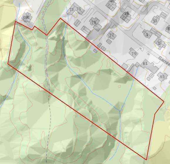 hydrologi og avrenning. Området ligger sør for Gamle Dalsveg, på Maura i Nannestad kommune. Planlagt utbygging er vist i figur 1.