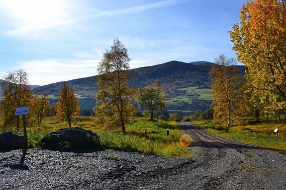 De 9 tomtene er en forlengelse av et allerede utbygd område med flotte hytter i ensartet stil.