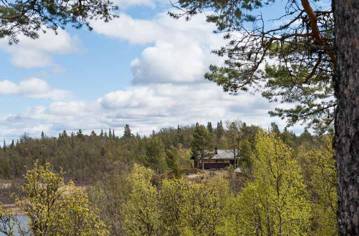 Ved å basere hytta på bruk av moderne materialer og løsninger, ga det bedre muligheter for å få kontakt med naturen innenifra.