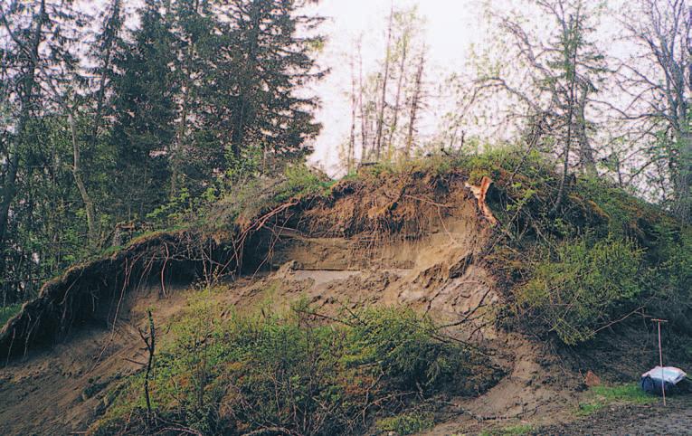 fra uthus. Foto: May-Liss Bøe Sollund, NIKU 2005. Figur 21.