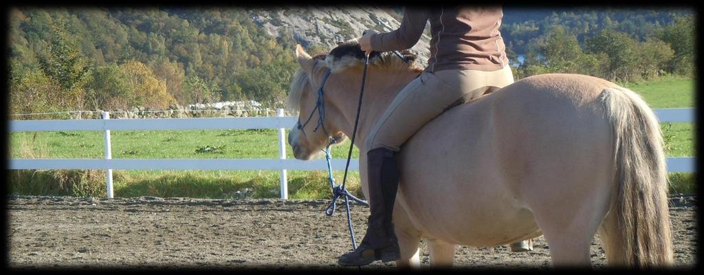 Parelli Natural Horsemanship Tekst: Karoline Sire Foto: Mona Ulas Hvem har vel ikke drømt om å kunne ri hesten sin uten hodelag og bitt og noen hjelpemidler og likevel utføre vanskelige