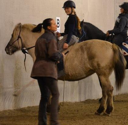 Målet er ikke perfekte skjenkelvikninger eller galopp pirutter, men sammen med de andre lekene, og masse masse trening, vil alt kunne føre til dette sluttresultatet.