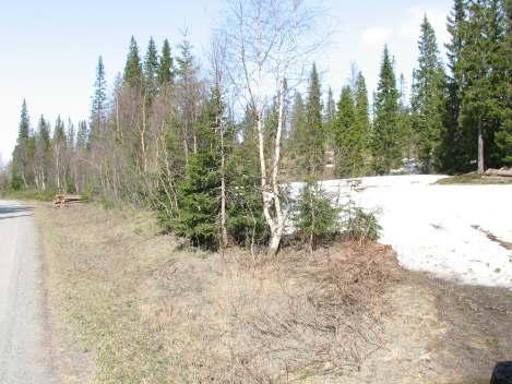 Vurdering: Det er beklagelig at utbyggingen i området i en del tilfeller ikke har skjedd i henhold til gjeldene reguleringsplaner. Dette har ført til at en del viktige planprinsipper som f.