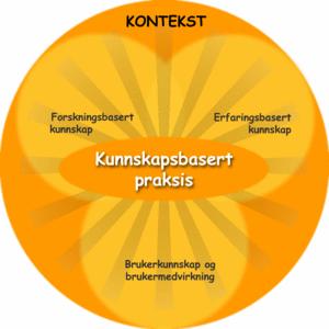 Forskningsbasert kunnskap Erfaringsbasert