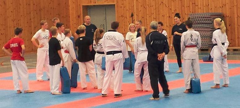 Oslo Taekwondo Klubb Side 5 av 13 Bilde fra treningssamlingen på Bygdøhus i september 2016 Fra venstre: Steven Jennings og Sarah Jennings Stevner Klubben har