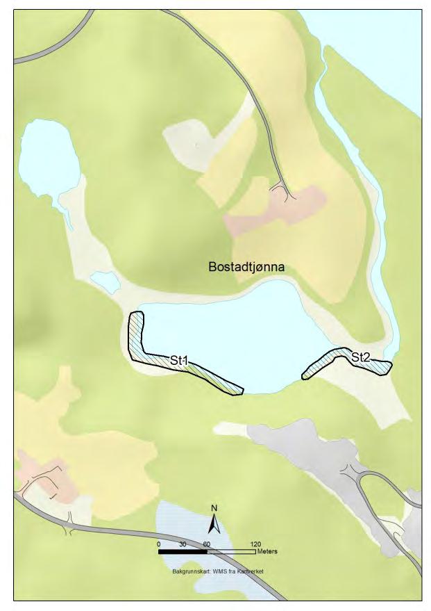 Det håves etter invertebrater og amfibier (vannfauna) i flest mulig ulike habitater (i forhold til dyp, vegetasjonstyper, bunnsubstrat, åpent vann, vannoverflate etc.). Prøvetakingen foretas med stangsil og dyrene samles til én prøve pr prøvestasjon.