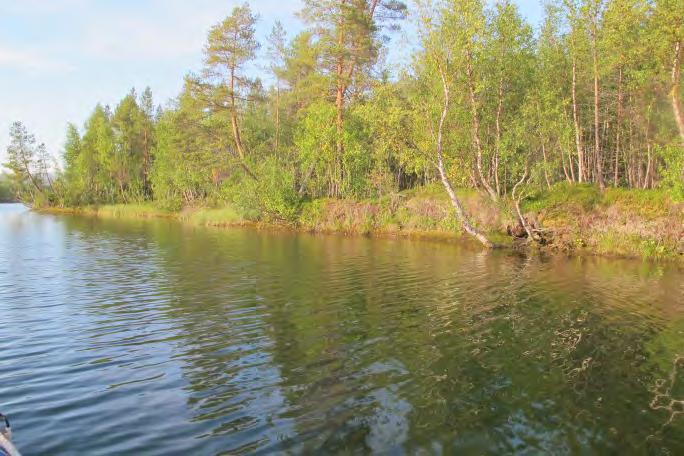 Lok TR-8 Øvja, søndre Dette er en stor og dyp evje, som ligger ved nordre del av Barduelva, ca 2 km sør for Bardufoss flyplass. Evja er 2,5-3 m dyp, med full åpning mot elva.