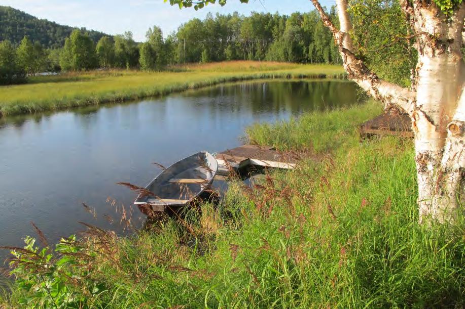 Potamogeton gramineus fantes spredt i ytterste del i møtet med TR-9. Lok TR-9 Øvja, nordre Dette er ei grunn evje ved nordre del av Barduelva, like nord for TR-8.