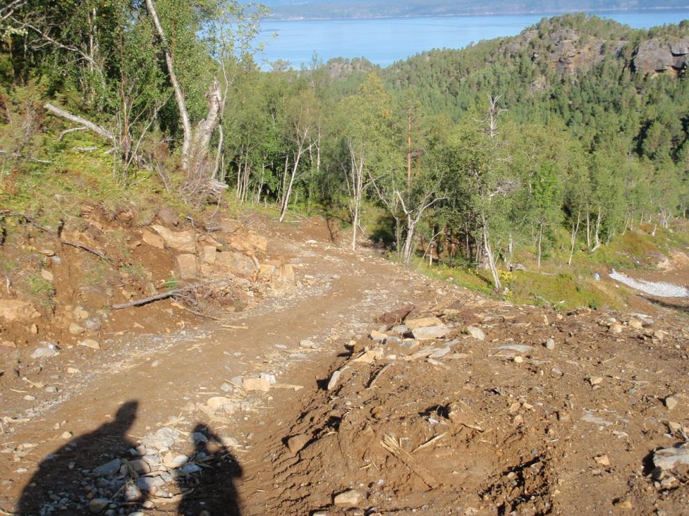 Miljøutfording