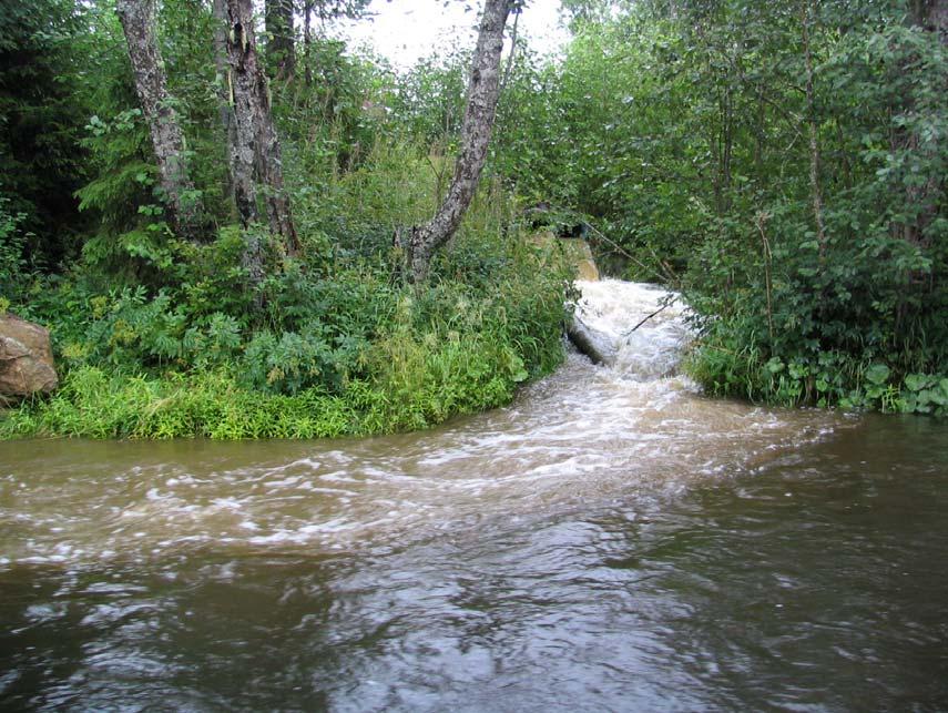 Hunnselva var svakt basisk, og ph var aldri lavere enn 7,2 i 2001-2008 (tabell 1; figur 5).