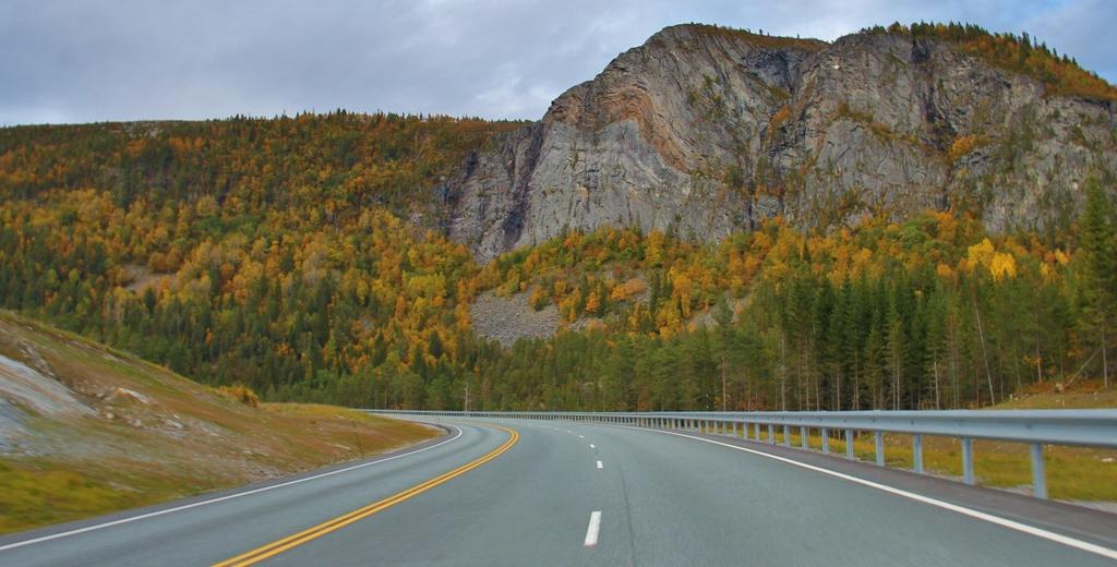 3. Organisering av trafikksikkerhetsarbeidet i Snillfjord kommune Kommunens trafikksikkerhetsutvalg består av 3 politisk valgte representanter.