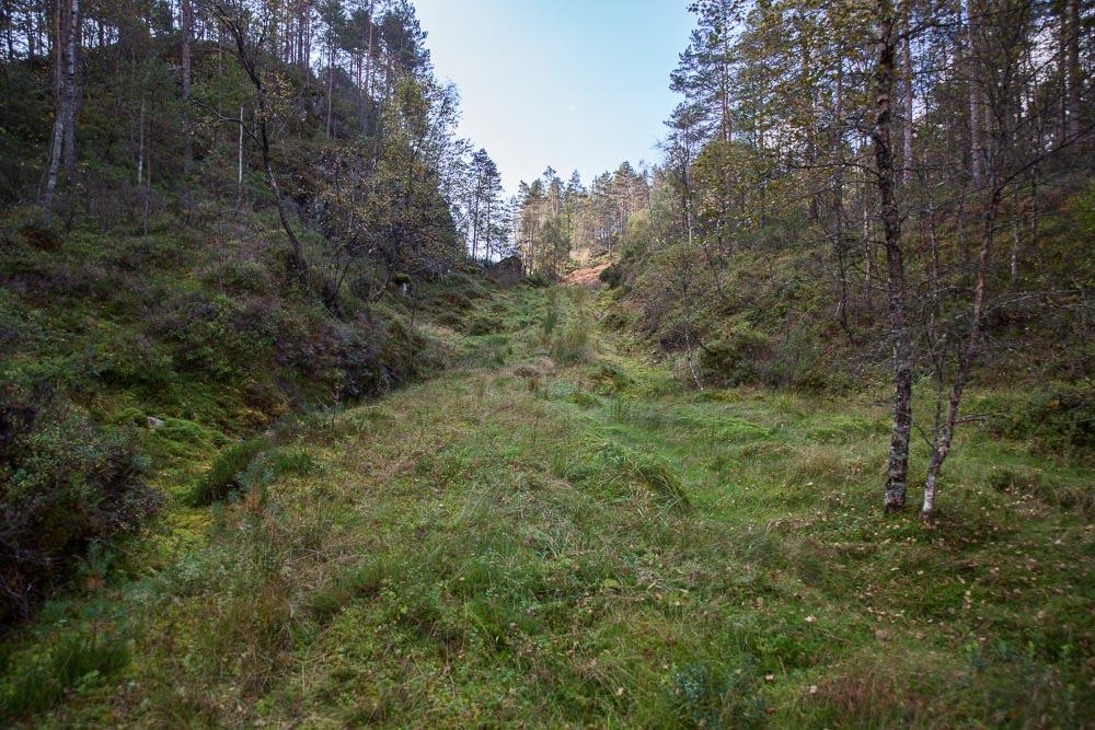 V13 Tangedal skogsvei Posisjon utgangspunkt N 6755326 E 293199 Ca. 0,2 km Fra kommunal vei Tangedalsveien mot mast 43 De første 100 meter er gruset, resten er dårlig, gammel skogsvei.