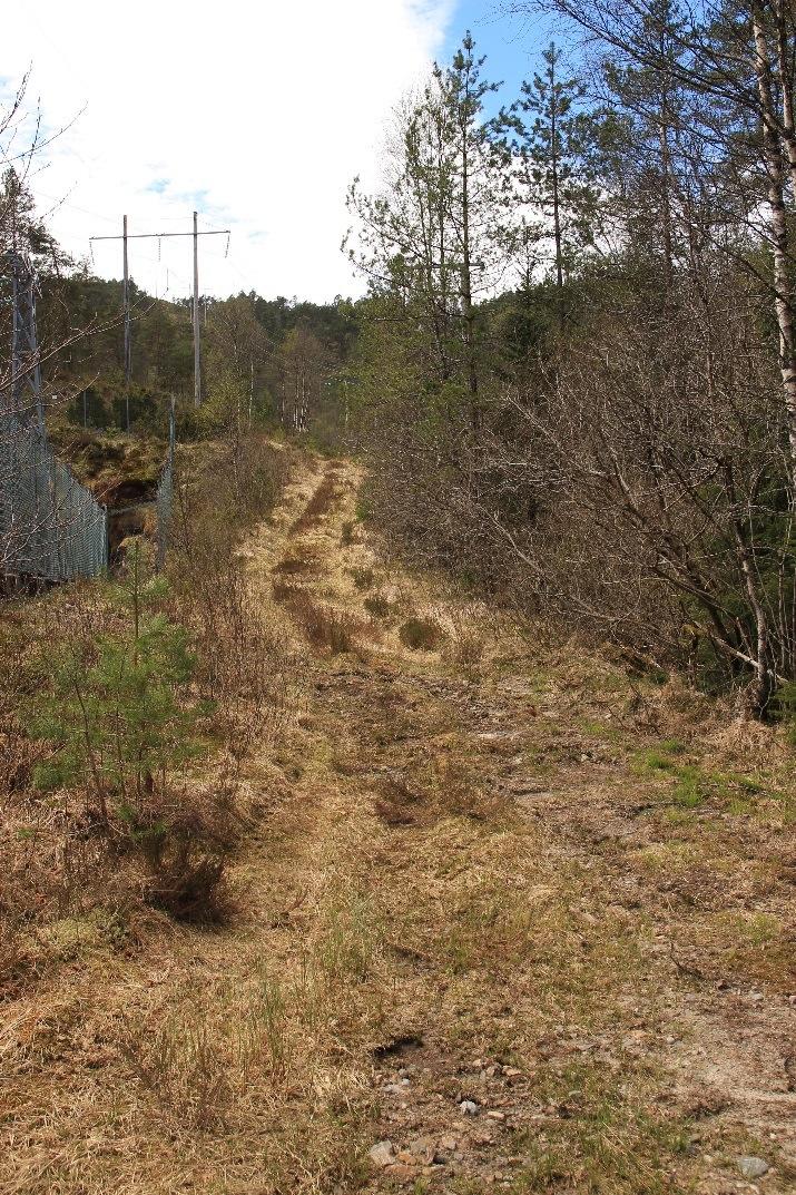 V14 Tangedal traktorvei Posisjon utgangspunkt N 6755326 E 293199 Ca. 0,6 km Fra kommunal vei Tangedalsveien vestlig retning. Svinger og går i retning kraftledningen mellom mast 43 og 44.