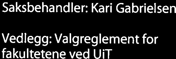 Valgstyret skal forberede og administrere valg ved fakultetet, og oppnevnes for fire år.