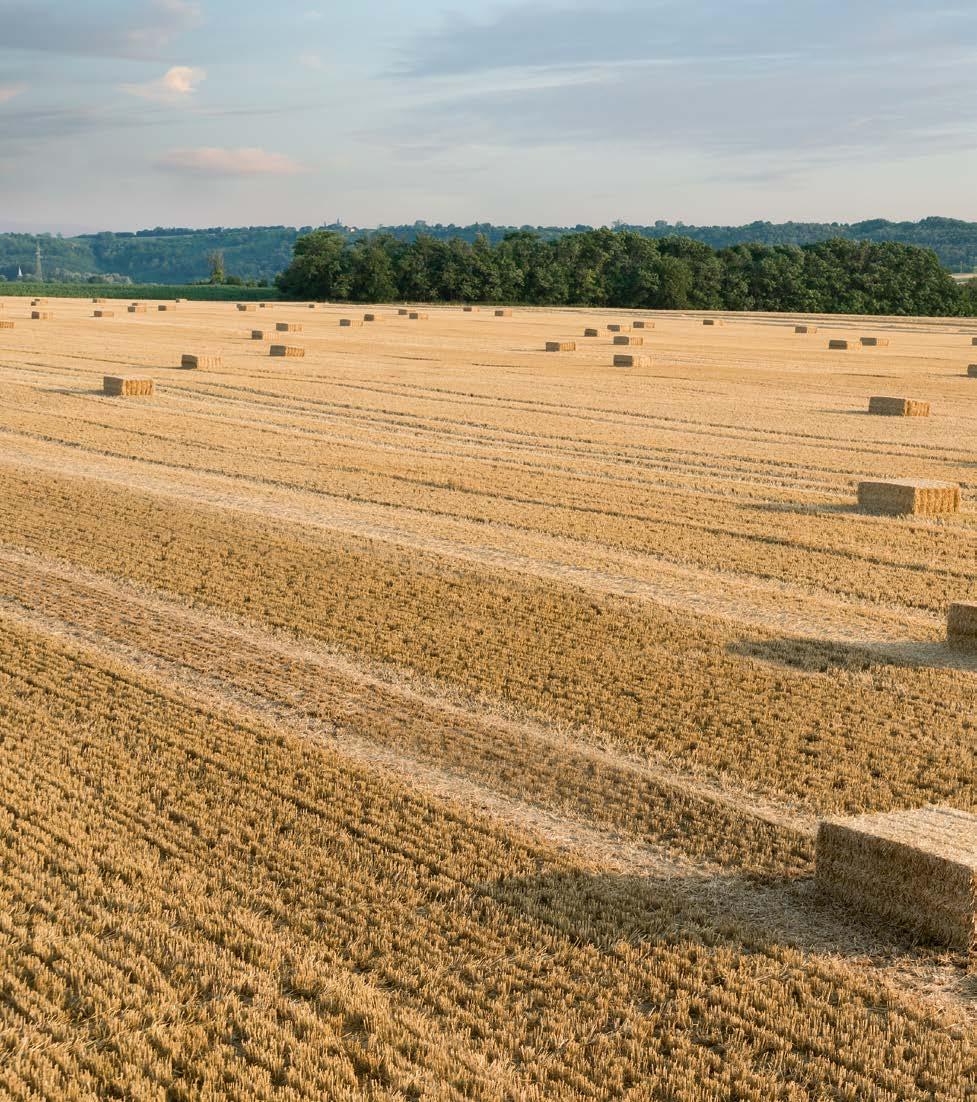 Rask, ren sikker. Ikke noe halm skal gå til spille. En verden av CLAAS En verden fra CLAAS. Vårt arbeid er vår stolthet. Nettopp fordi det noen ganger krever alt av oss.