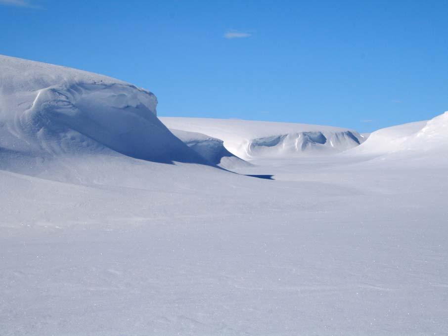 Bærekraftig Forvaltning av Arktiske Økosystemer (på landjorda) Rolf Anker Ims Institutt for Arktisk og Marin Biologi Universitetet i Tromsø Prosjektgrunnlag: Økosystem