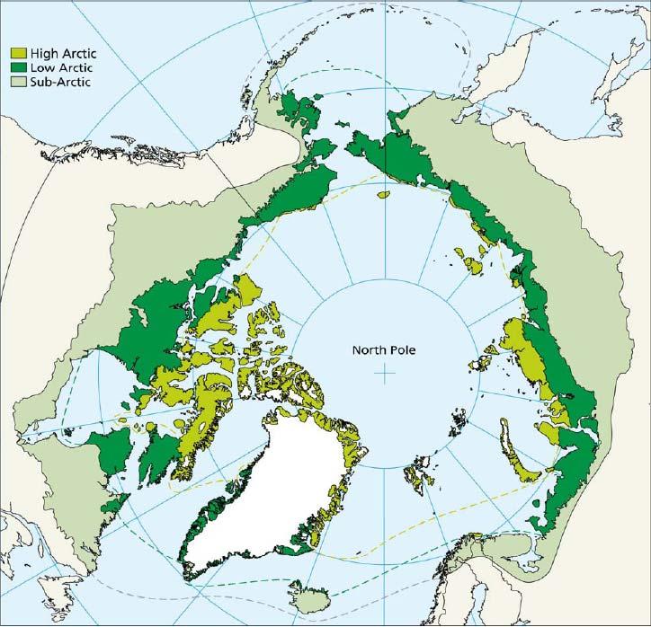 Terrestre Arktiske Økosystemer = Tundra