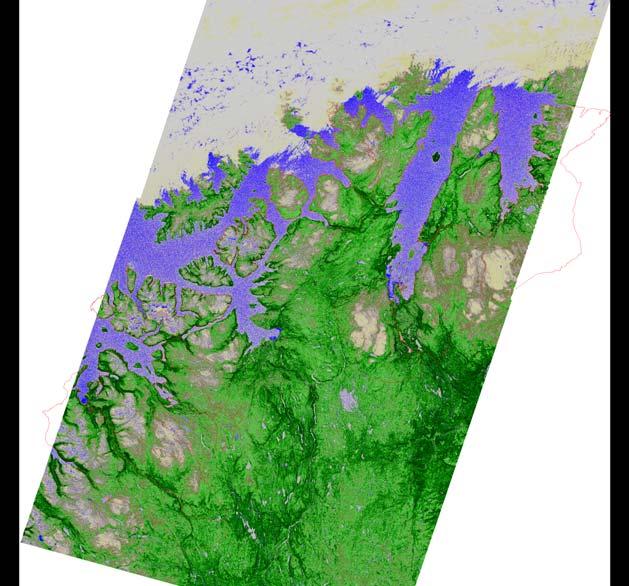 Effekter på vegetasjon: Fjernmålingsdata (Tveraa et al.