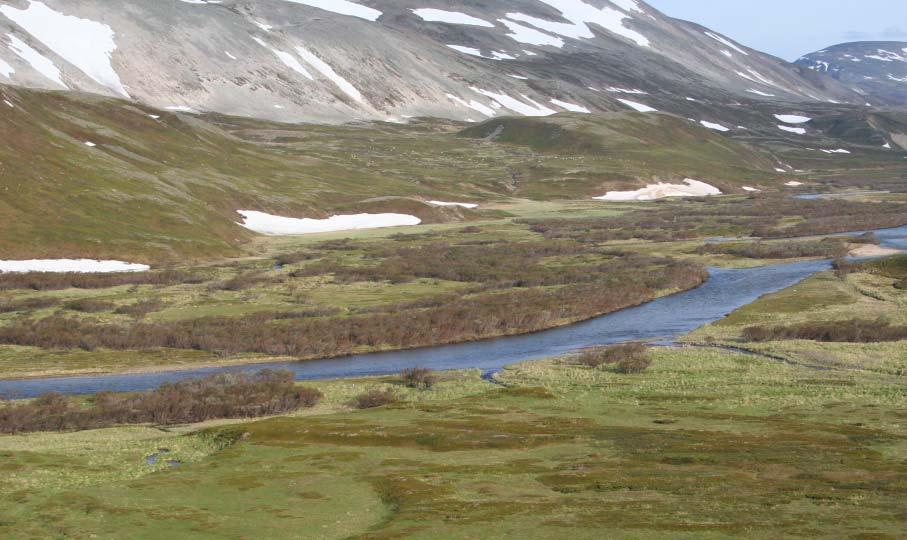 Vegetasjon: Klimafunksjon Øket transpirasjon fra bladfellende vegetasjon