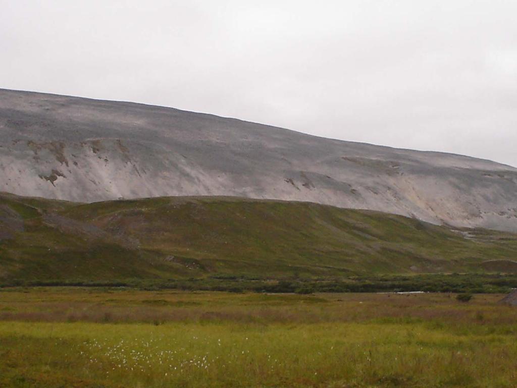 Greening of the Arctic : A) Gjengroing av